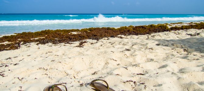 Todo lo que debes saber sobre Acapulco Todo lo que debes saber sobre Acapulco