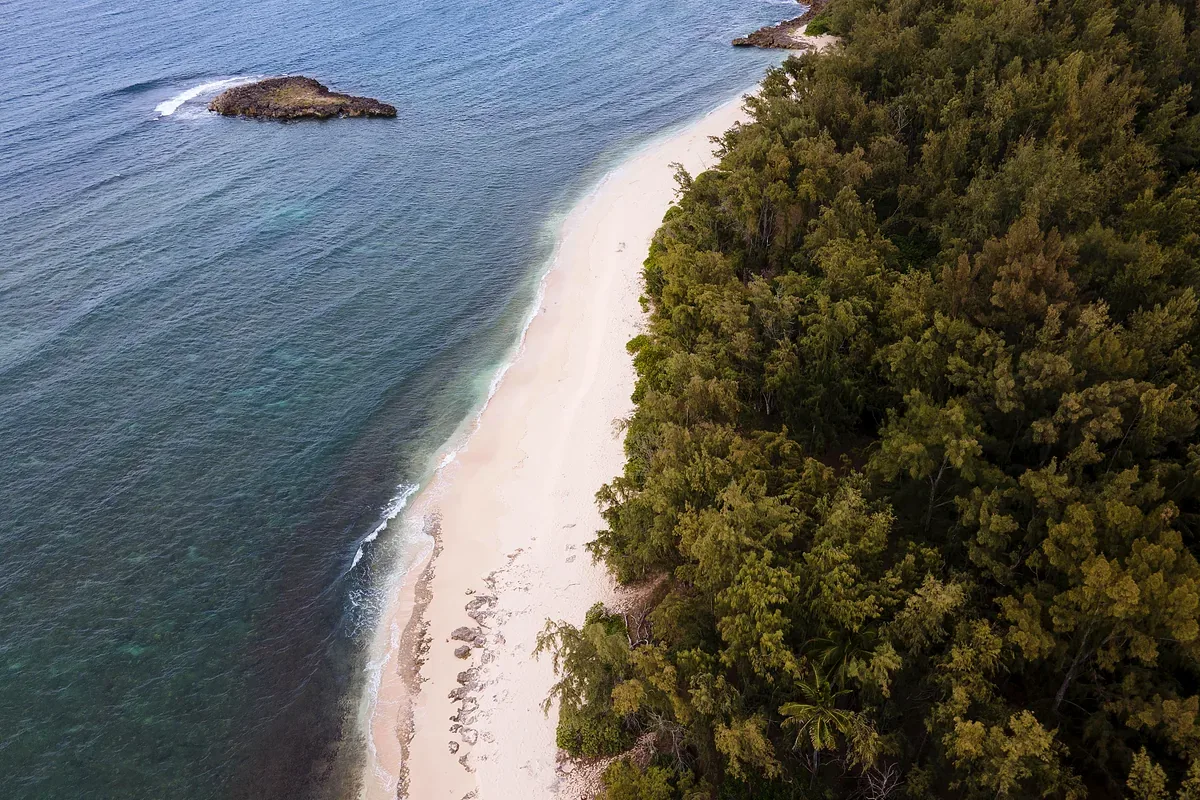 Vista aérea de una playa de arena blanca entre el mar y la selva