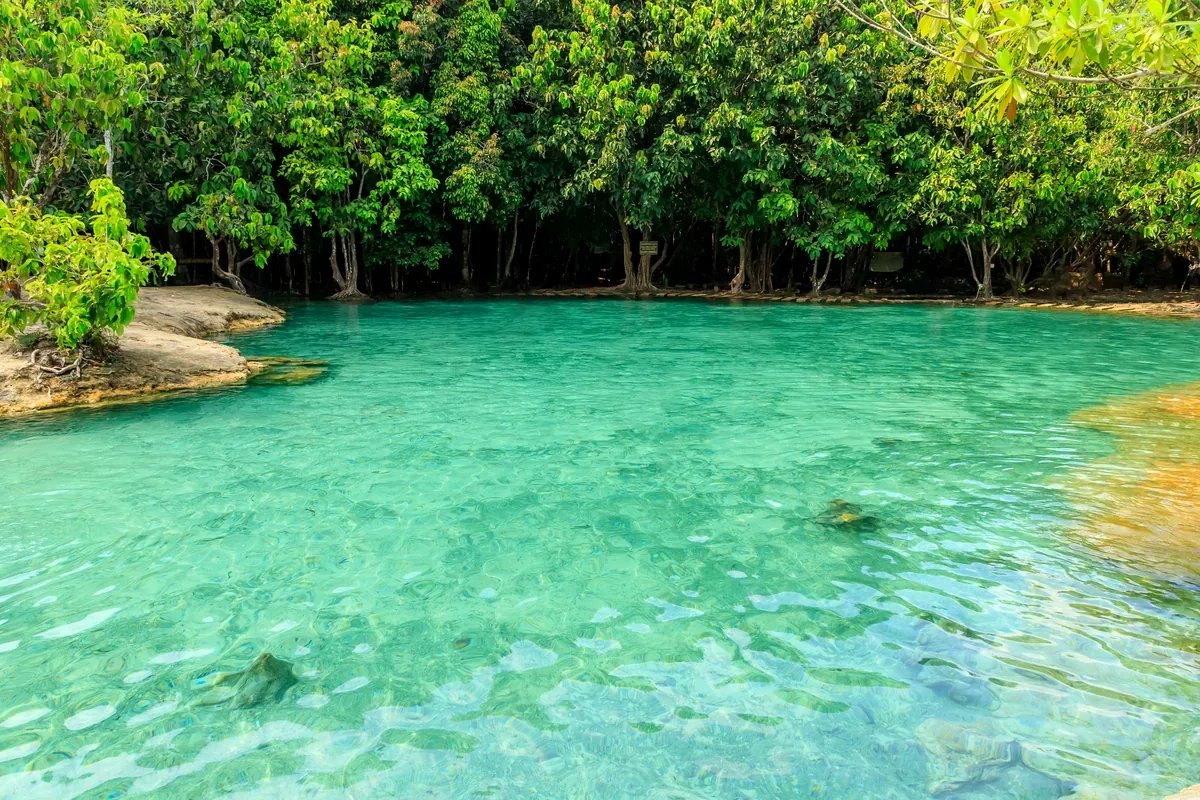 Poza de agua turquesa bordeada de árboles y rocas