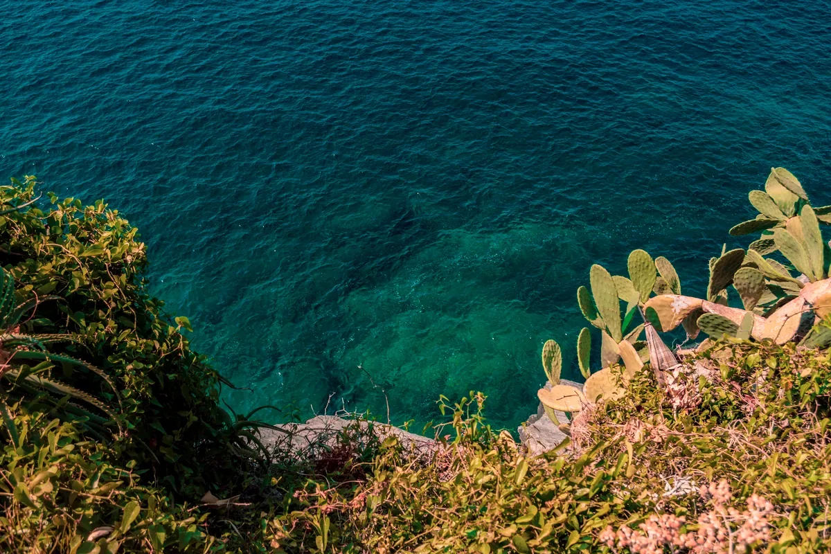 Mar verde azulado visto desde un acantilado con cactus y flores