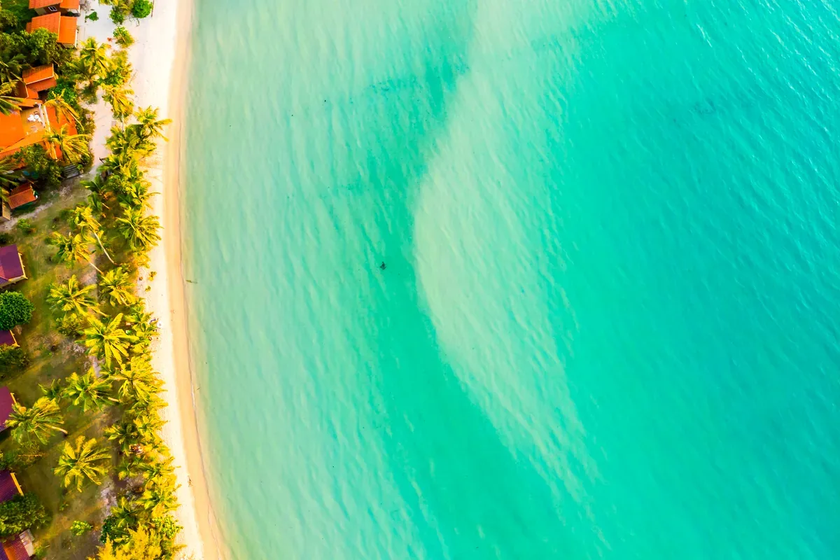 Vista aérea de una playa con mar turquesa y vegetación en la orilla