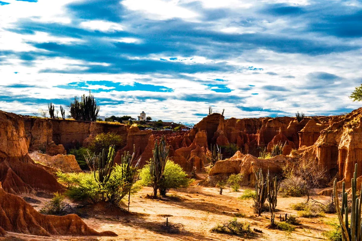 Cañón de tierra rojiza con cactus bajo un cielo de nubes