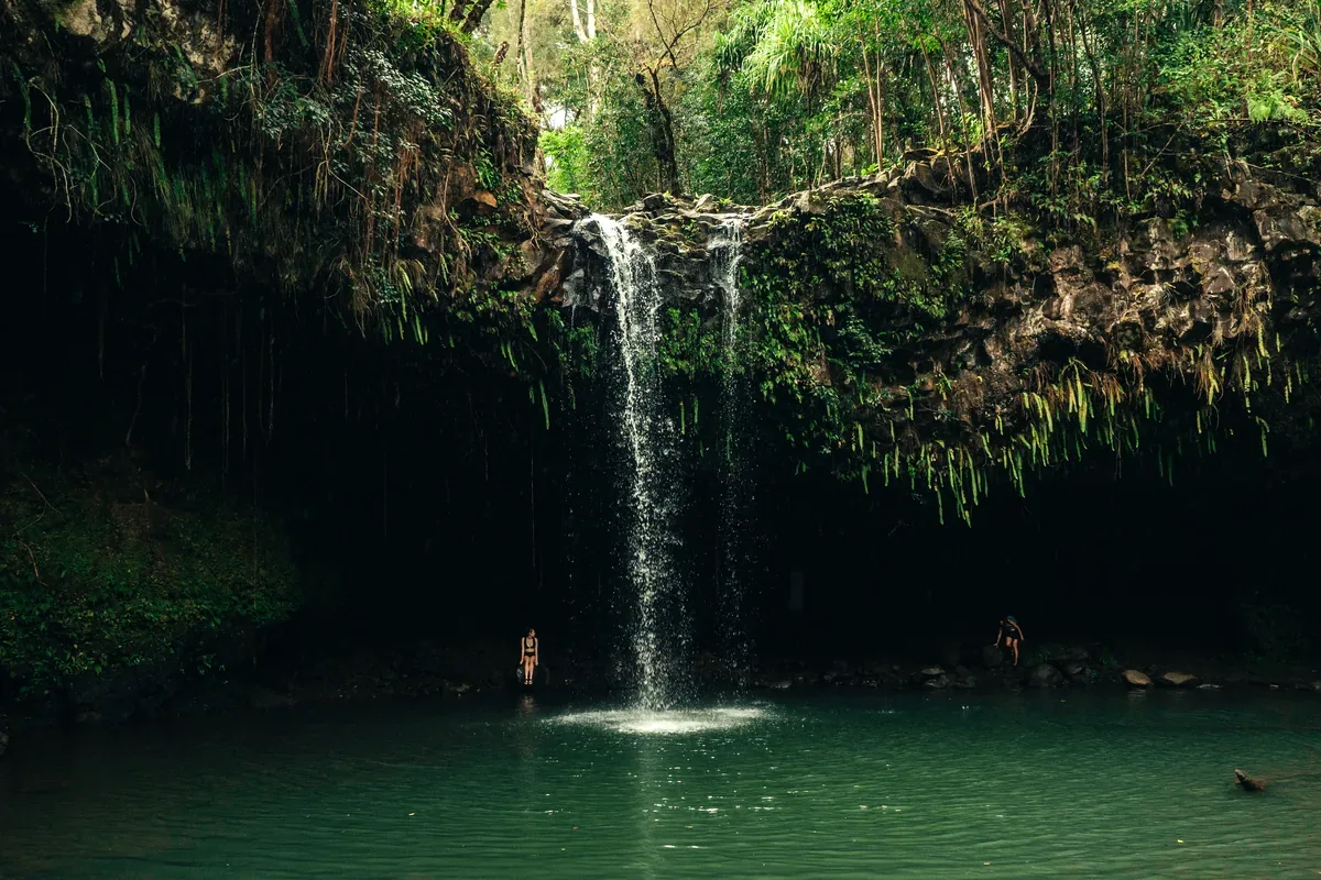 Cascada delgada que cae sobre una poza verde en medio de la selva