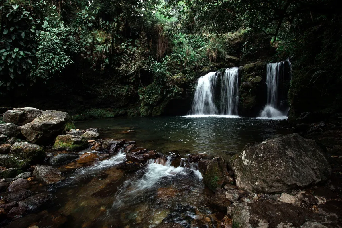 Cascada que cae en una poza entre rocas en medio del bosque