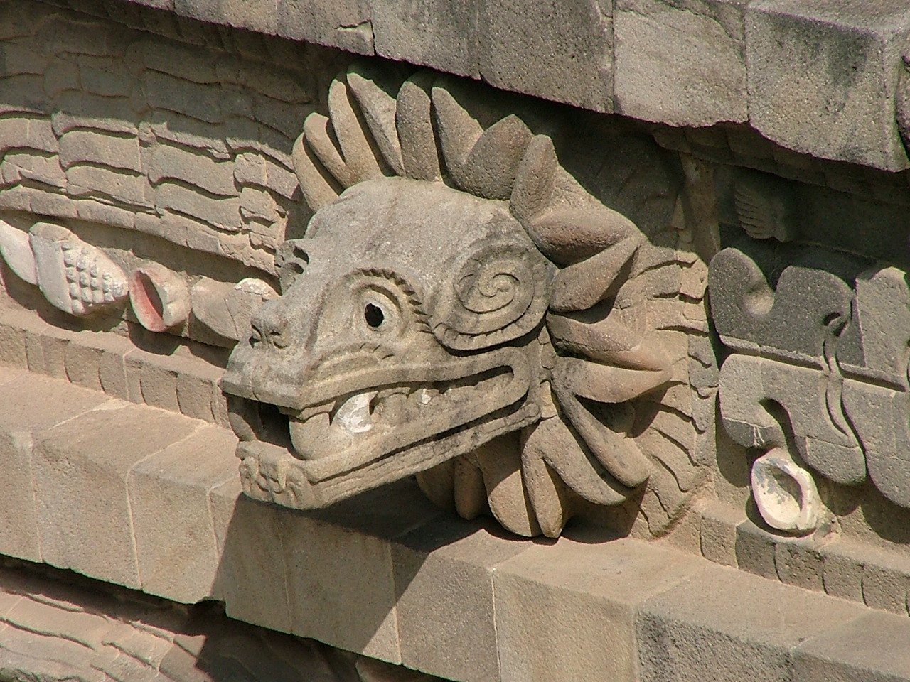 Cabeza de serpiente emplumada en piedra, con plumas alrededor y caracoles marinos tallados, en el Templo de Quetzalcóatl