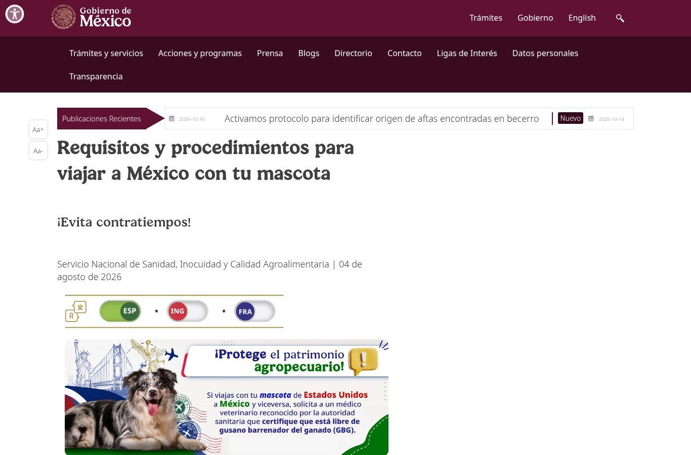 Página de SENASICA en gob.mx titulada «Requisitos y procedimientos para viajar a México con tu mascota», con un cartel que muestra un perro